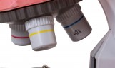 Микроскоп Levenhuk LabZZ M101 Orange 69730