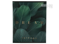 Тетрадь ArtFox Dream А5 96 листов 5515253
