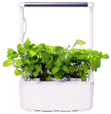 Аэросад HobbyFarm Mini домашний умный смарт сад, 3 ячейки, с фитолампой DQ6200-LA