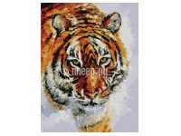 Картина по номерам Остров Сокровищ Тигр 40х50cm 662473