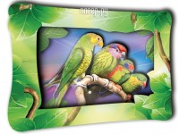 Объемная картинка Vizzle Амазонские попугаи К0007