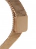 Умные часы ZDK H2 Gold