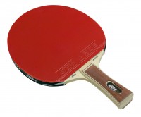 Ракетка для настольного тенниса Atemi Pro 3000AN