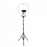 Студийный свет Falcon Eyes BeautyLight 480LS LED 28492