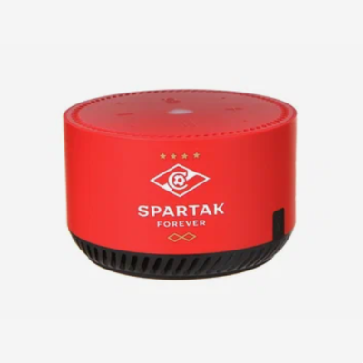 Яндекс Станция Лайт Rainbo Spartak Forever