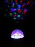 Neon-Night Диско-лампа e27 LED 601-251